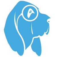 Pet Detective logo - Similar company to Sunset Vets Palliative And End Of Life Care