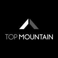 Top Mountain logo - Similar company to Ptd Professional