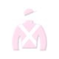 Silks Unlimited logo - Similar company to Fortune Silks Inc