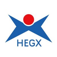 Hegxing Electronics logo - Similar company to Ägeridesign