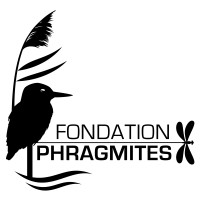 Fondation Phragmites logo - Similar company to Fondation Collective Open Pension