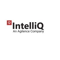 IntelliQ (An Agilence Company) logo - Similar company to Intelliq It