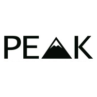 PEAK logo - Similar company to Eleventh Ai