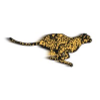 Quick Cat, LLC logo - Similar company to Amcat Adjusting Services