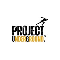 Projects UnderGround logo - Similar company to Benchmarks Global