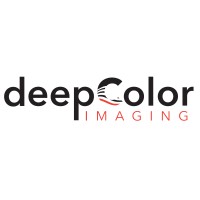 deepColor logo - Similar company to Image Guided Therapy