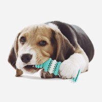 Shenzhen Lucky Pet Product Co.,Limited logo - Similar company to Ningbo Susi Pet Product Co., Ltd.