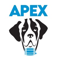 Apex Loyalty logo - Similar company to Loyalty Points
