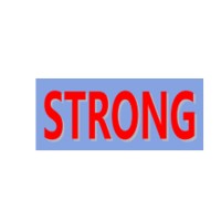 DongGuan STRONG Precision Industries Co,. Ltd. logo - Similar company to Profitable Empires™