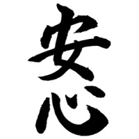 Anshin Security Ltd logo - Similar company to Rebasoft Limited