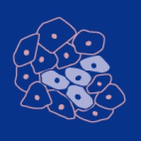 Cancers MDPI logo - Similar company to Safehouse Studios