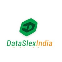 DataSlexIndia | Web Development | App Development | DBA Service | Data Entry | Salesforce Consulting logo - Similar company to Sonco Technologies