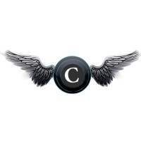 Cyber Kings India logo - Similar company to Syncpeak Ventures