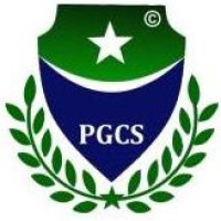 Precise Global Certification Services logo - Similar company to Level Up & Go!