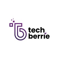 TechBerrie logo - Similar company to Hitech Generation