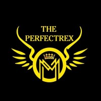 THE PERFECTREX logo - Similar company to Cyphereum