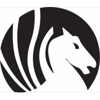 Pegasus Intelligence Ltd logo - Similar company to Solv Technology Pte Ltd