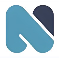 NEPFOSYS logo - Similar company to Information Solutions