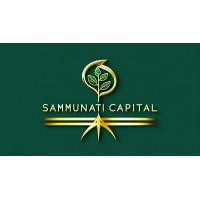 Sammunati Capital Limited logo - Similar company to Minitech Engineering