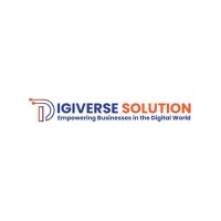 Digiverse Solutions logo - Similar company to Digiverse - Digital Solutions