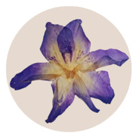Mambê Ateliê logo - Similar company to Winterless Digital