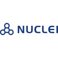 Nuclei System Technology Co.,Ltd. (芯来科技） logo - Similar company to Machineware Gmbh