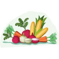 Ever Fresh Harvest logo - Similar company to Ever Fresh For Export