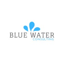 Bluewater Consulting logo - Similar company to Seltec