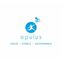 Opulus Electricals India Pvt.Ltd logo - Similar company to Electronics Research Reports