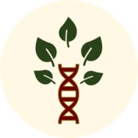 Know Thyself Happy logo - Similar company to Imagine