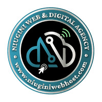 Niugini Web & Digital Agency logo - Similar company to Wisetech Informatics