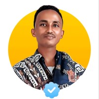 Ali Osman Afar logo - Similar company to Ali Analytics
