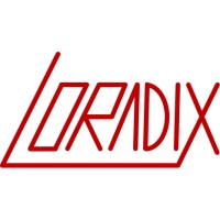 LORADIX logo - Similar company to Dedomena.Ai