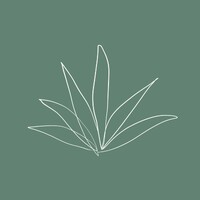 The Agave Haus logo - Similar company to Techonomic Mobility