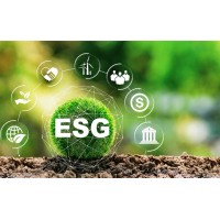 Rovyne Consulting logo - Similar company to Peshawar