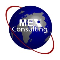 MethodEx Consulting logo - Similar company to Envipur Sa