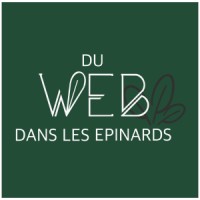 Du web dans les épinards logo - Similar company to Emis-Aero