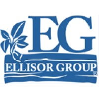 Ellisor Group logo - Similar company to Synerg Ltd