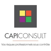 CAPICONSULT logo - Similar company to Minedhack