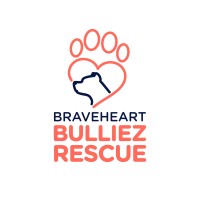 Braveheart Bulliez Rescue logo - Similar company to The Bert Show