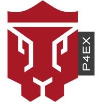 Passion 4 Experts logo - Similar company to Turningpoint