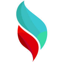 Brisklights Technologies Private Limited logo - Similar company to Practive