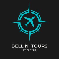 BELLINI TOURS logo - Similar company to Ridare Ltd