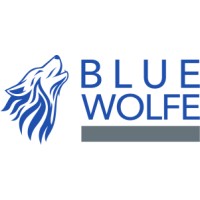 Blue Wolfe Financial logo - Similar company to Ignite Financial Planning, Llc