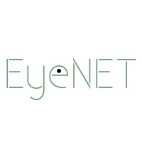 EyeNET logo - Similar company to Dynamic Trading Exchange Technology