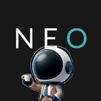 NEO Startup logo - Similar company to Fint