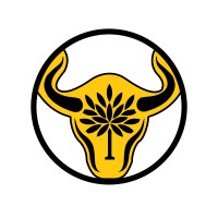 ECONET's Nový PORG Investment Society (NPIS) logo - Similar company to Econet