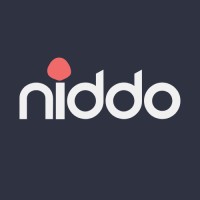 NIDDO logo - Similar company to Iris Venture Builder