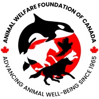 Animal Welfare Foundation of Canada logo - Similar company to Progressive Animal Welfare Services (Paws)
