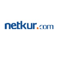 Netkur Network and Security Systems logo - Similar company to Kaydet.Com